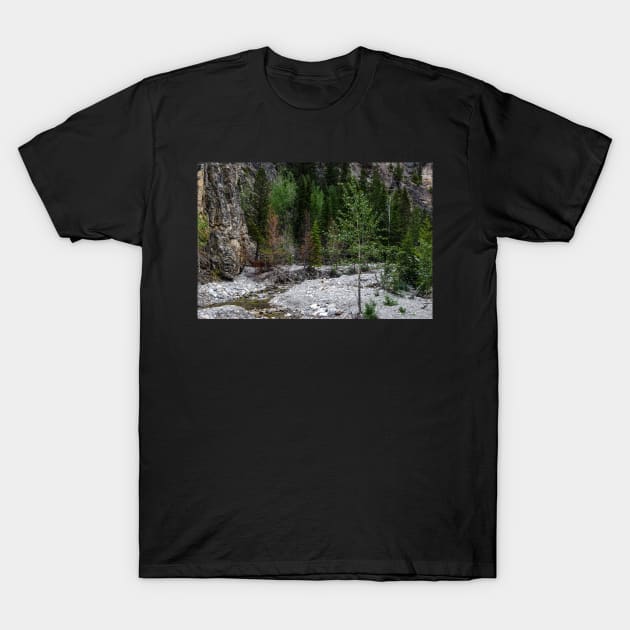 Mountain hike. T-Shirt by CanadianWild418